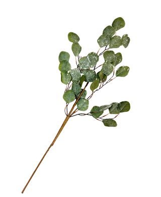 Frosted Eucalyptus Pick