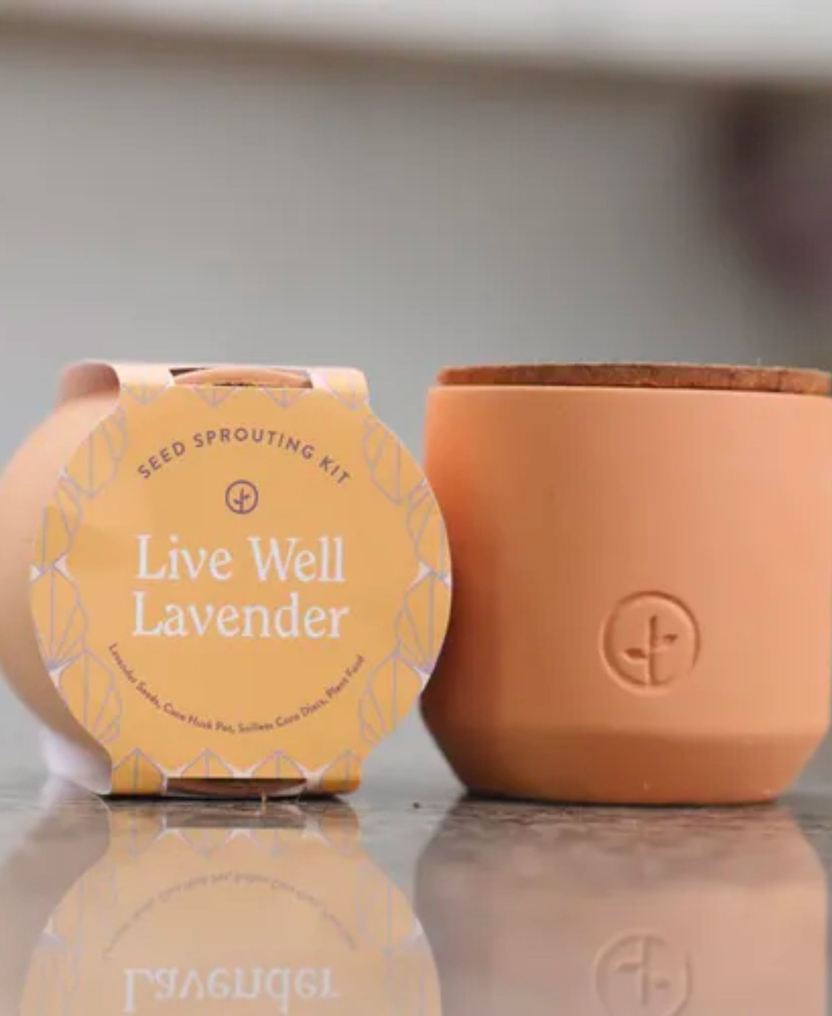 Live Well Lavender - Tiny Terracotta Kit