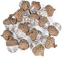 Clear Acorns 15/Pkg Assorted Sizes