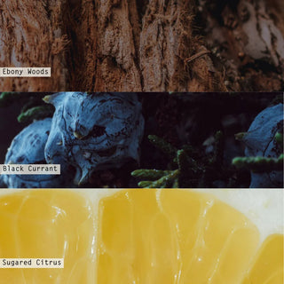 Illume North Sky Mercury Ornament Candle