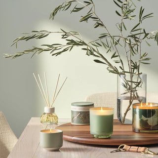 Illume Hinoki Sage Reed Diffuser