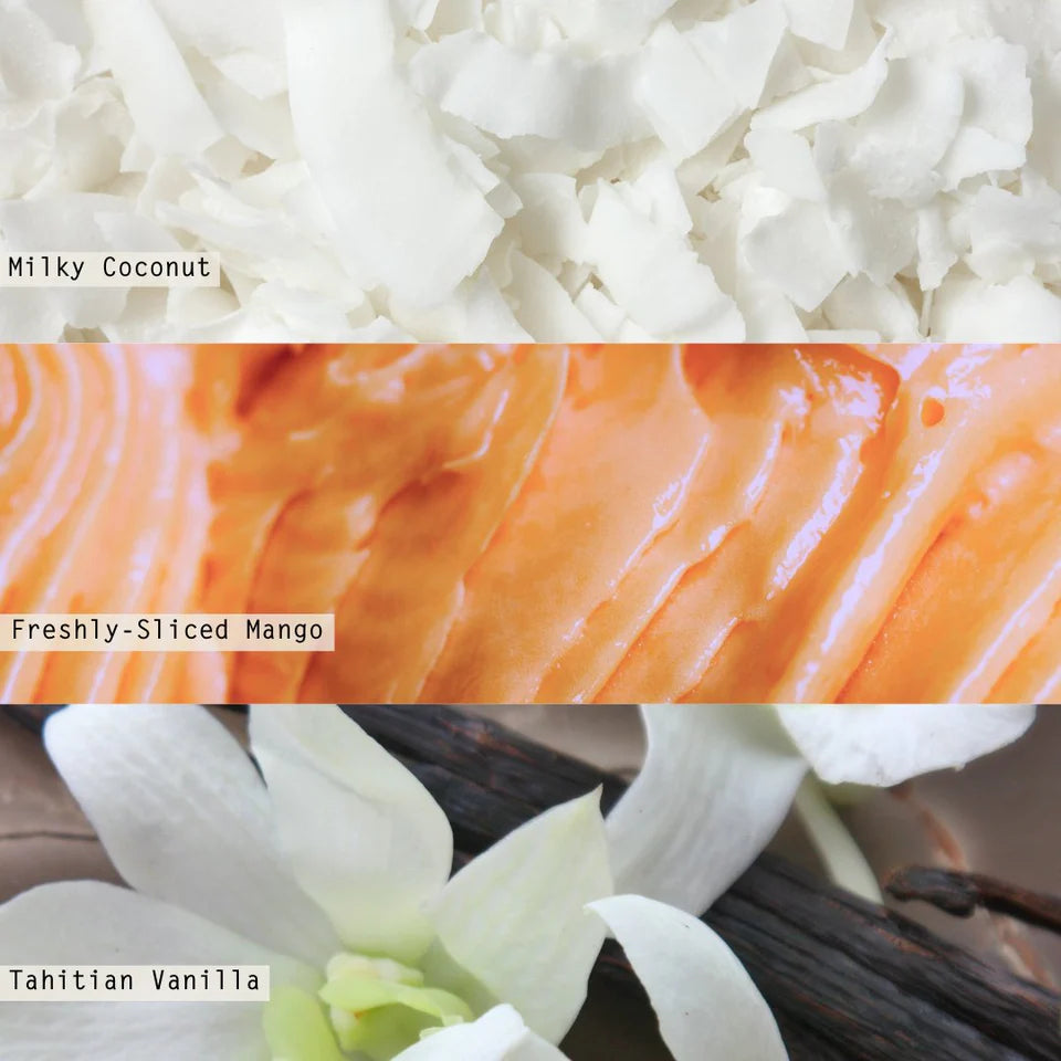 Illume Coconut Milk Mango Reed Diffuser