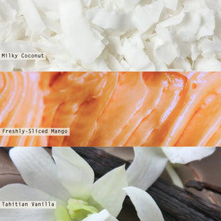 Illume Coconut Milk Mango Reed Diffuser