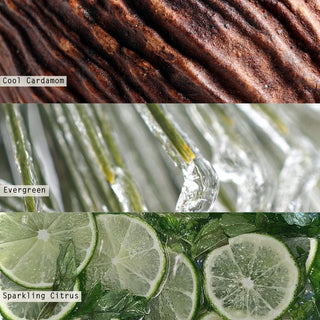 Illume Winter White Reed Diffuser