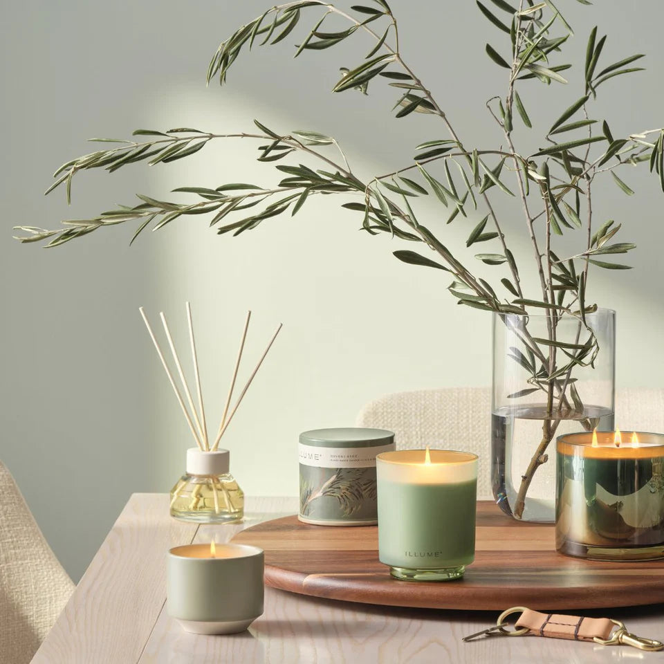 Illume Hinoki Sage Boxed Glass Candle