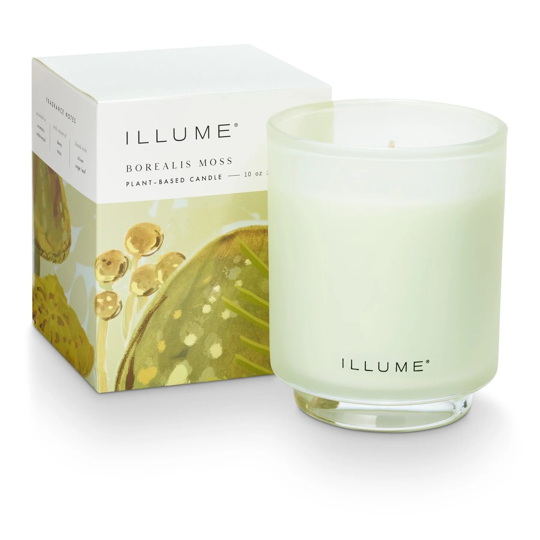 Illume Borealis Moss Boxed Glass Candle