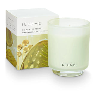 Illume Borealis Moss Boxed Glass Candle