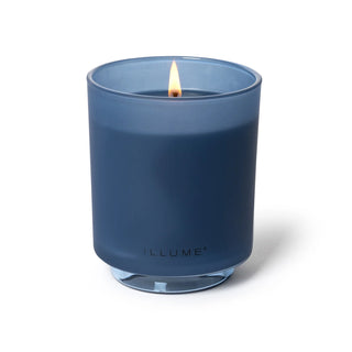 Illume Citrus Crush Boxed Glass Candle