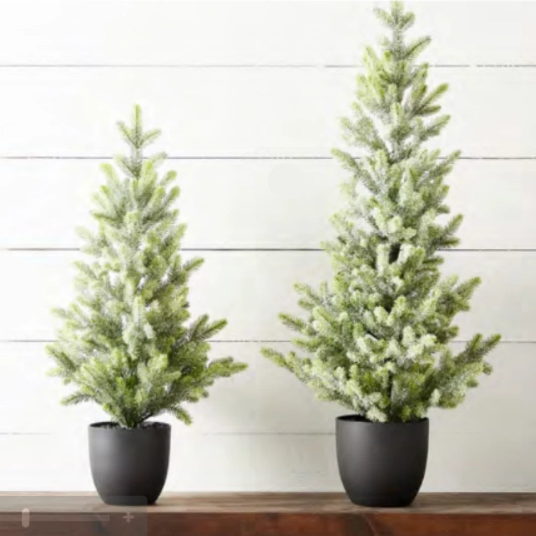 Potted Iced Fir Tree In Black Pot 30.5