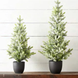 Potted Iced Fir Tree In Black Pot 30.5