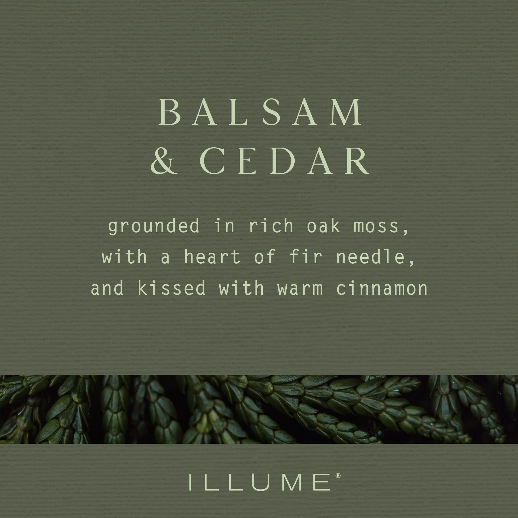 Illume Balsam & Cedar Small Crackle Glass Candle