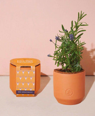 Live Well Lavender - Tiny Terracotta Kit