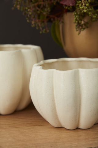 Spiced Pumpkin Pot - Small