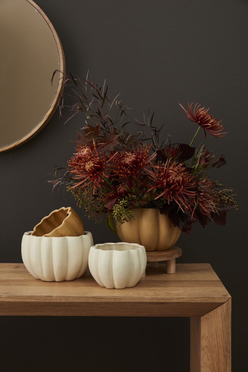 Spiced Pumpkin Pot - Small