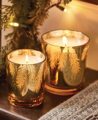 Thymes Frasier Fir Gilded Poured Candle - 13 oz.