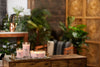 WoodWick Vanilla & Sea Salt Candle - Ellipse