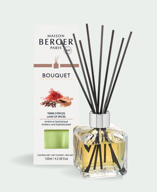 Maison Berger Land of Spices Cube Reed Diffuser