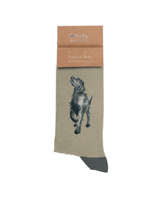 Wrendale Designs 'Walkies' Black Labrador Men's Socks