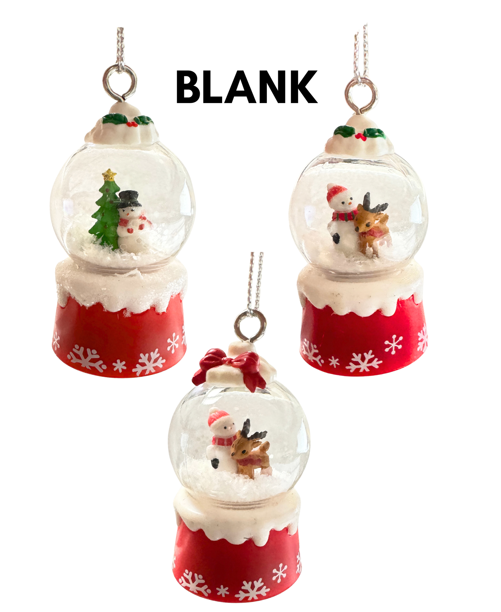 Snow Globe Ornament - Names And Blanks