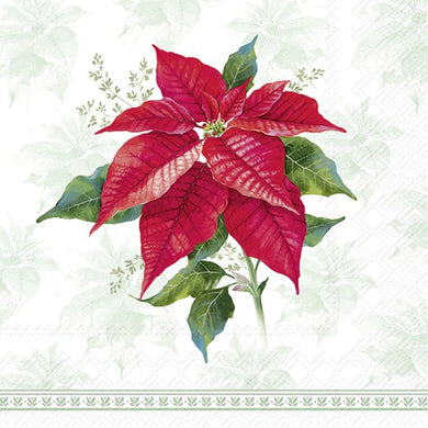 IHR Classic Poinsettia Green Cocktail Napkins