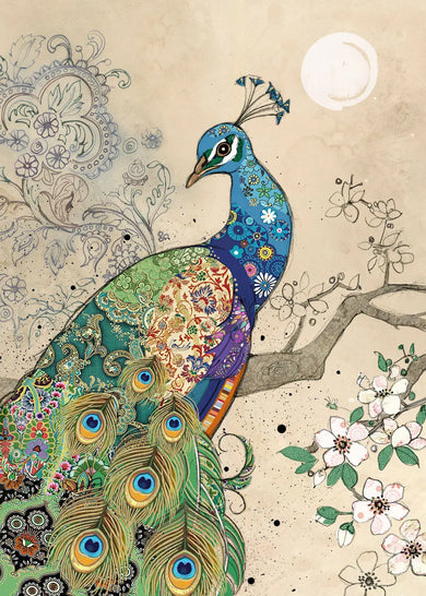 Bug Art Peacock Card Blank