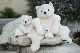 Bukowski Bears Antonius