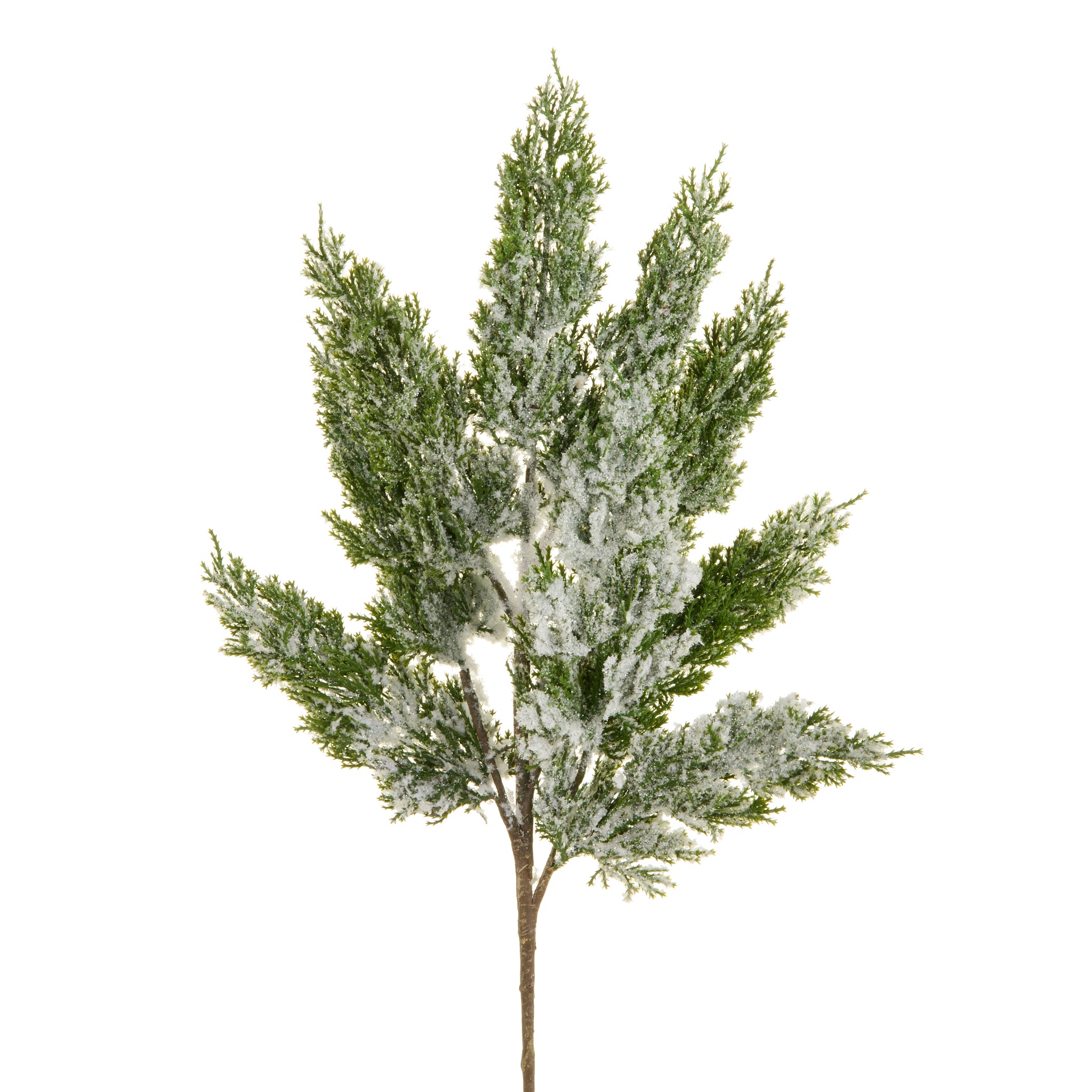 Flocked Cedar Spray 25