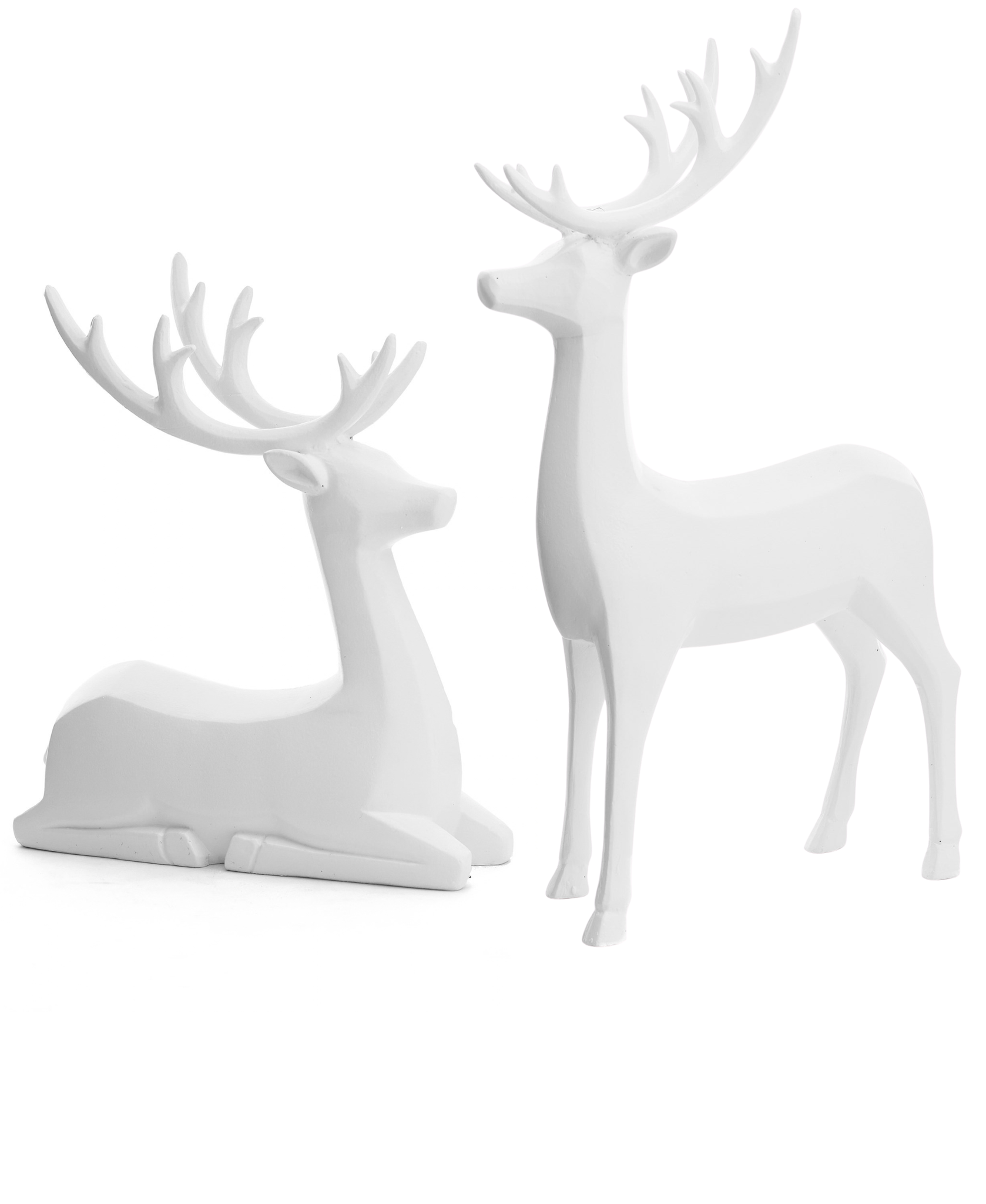 White Deer