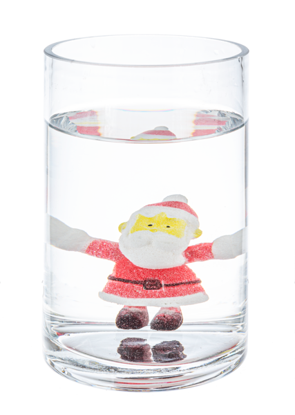 Grow Some Holiday Fun - Christmas Growers