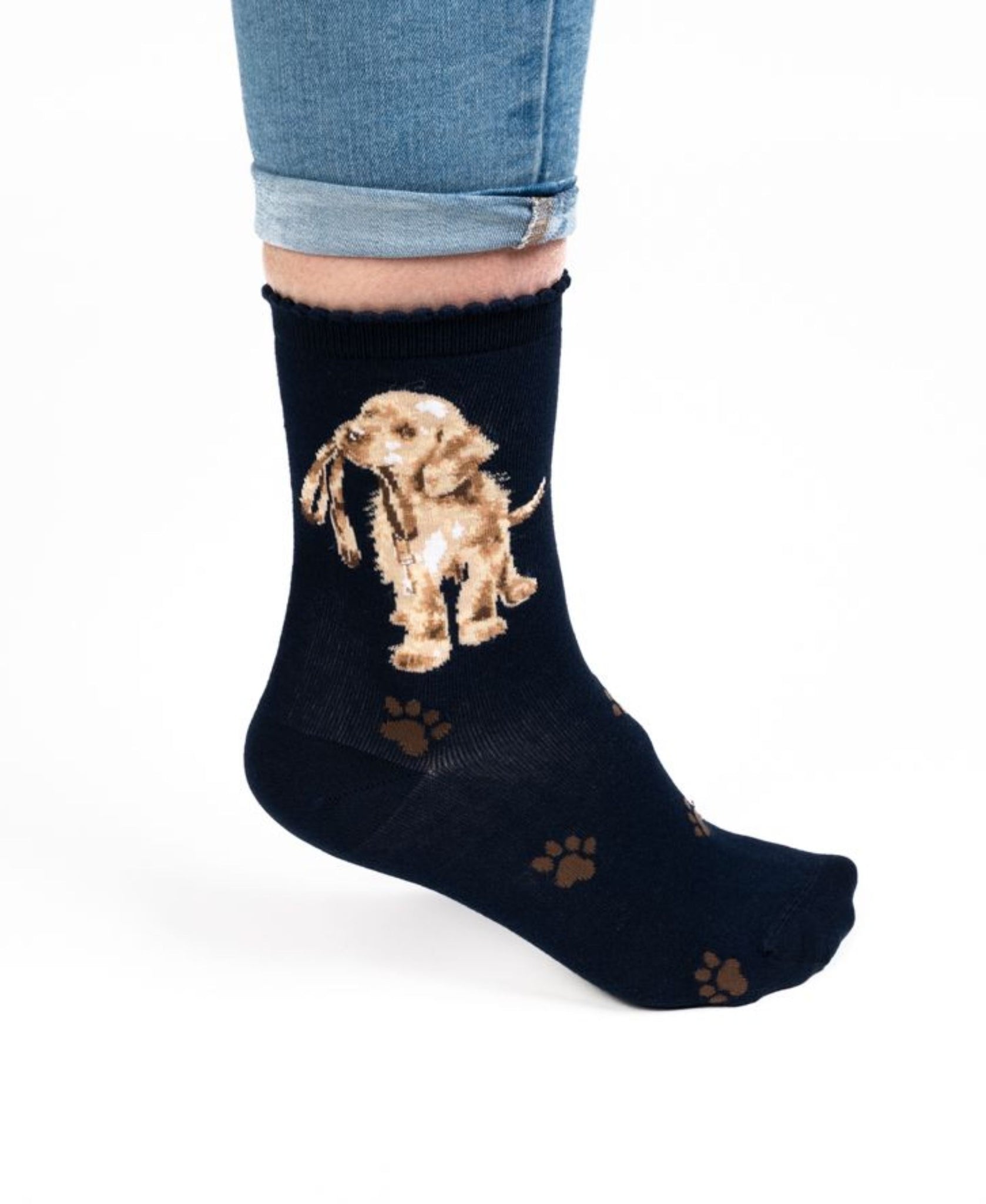 Wrendale Designs Women's 'Hopeful' Dog Socks - Navy