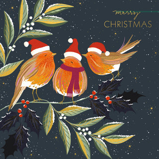 The Art File Robins Merry Christmas Boxed Christmas Cards