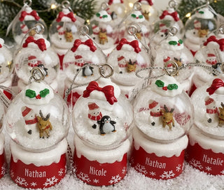 Snow Globe Ornament - Names And Blanks