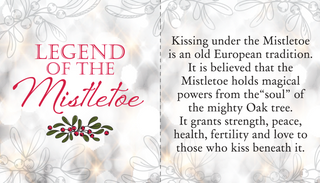 Kissing Krystals Poinsettia and Mistletoe Ornament