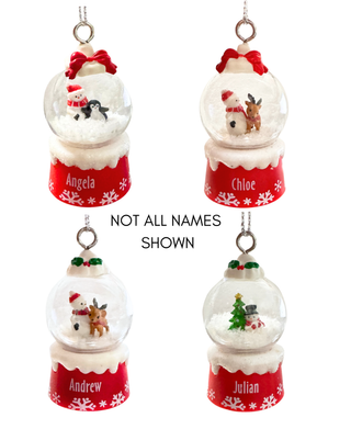 Snow Globe Ornament - Names And Blanks