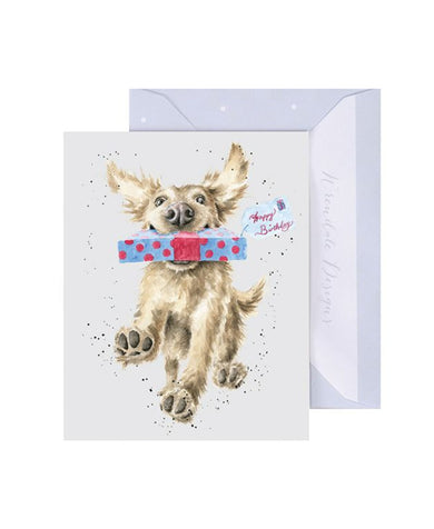 Wrendale Designs 'Special Delivery' Golden Retriever Birthday Gift Enclosure Card