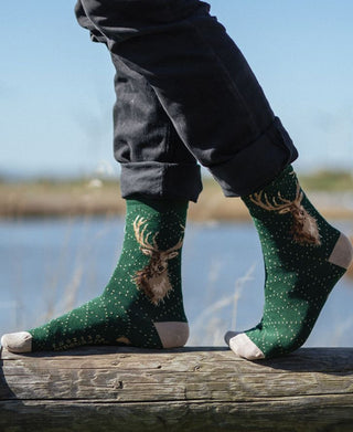 Wrendale Designs 'Portrait Of A Stag' Stag Mens Socks