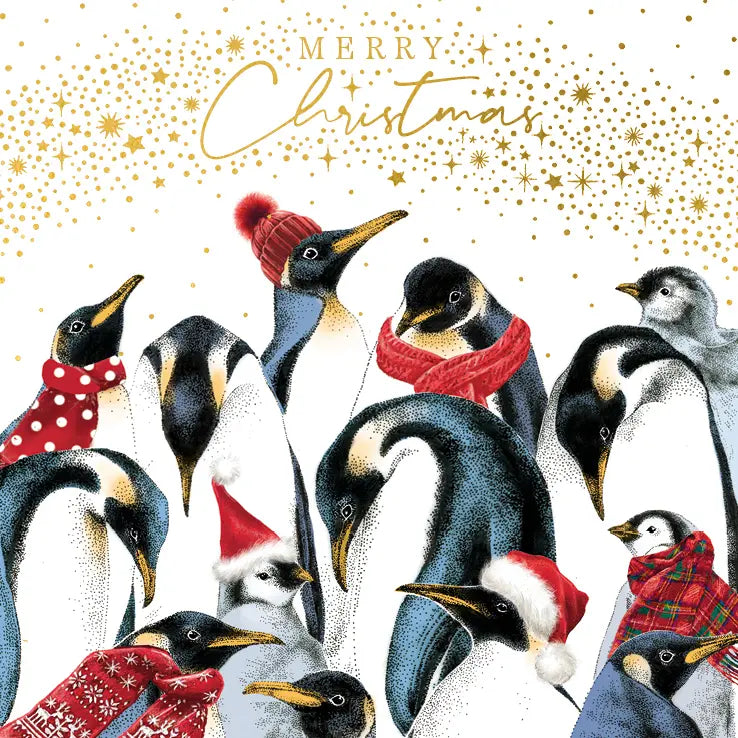 The Art File Penguins Boxed Christmas Cards