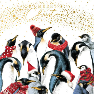 The Art File Penguins Boxed Christmas Cards