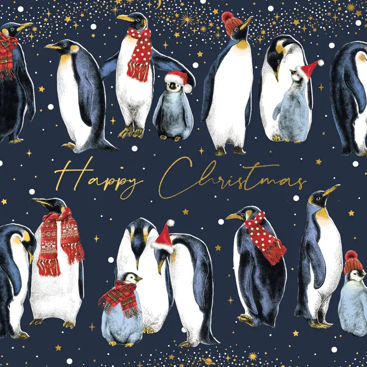The Art File Penguins Boxed Christmas Cards