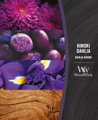 WoodWick Hinoki Dahlia Candle - Medium