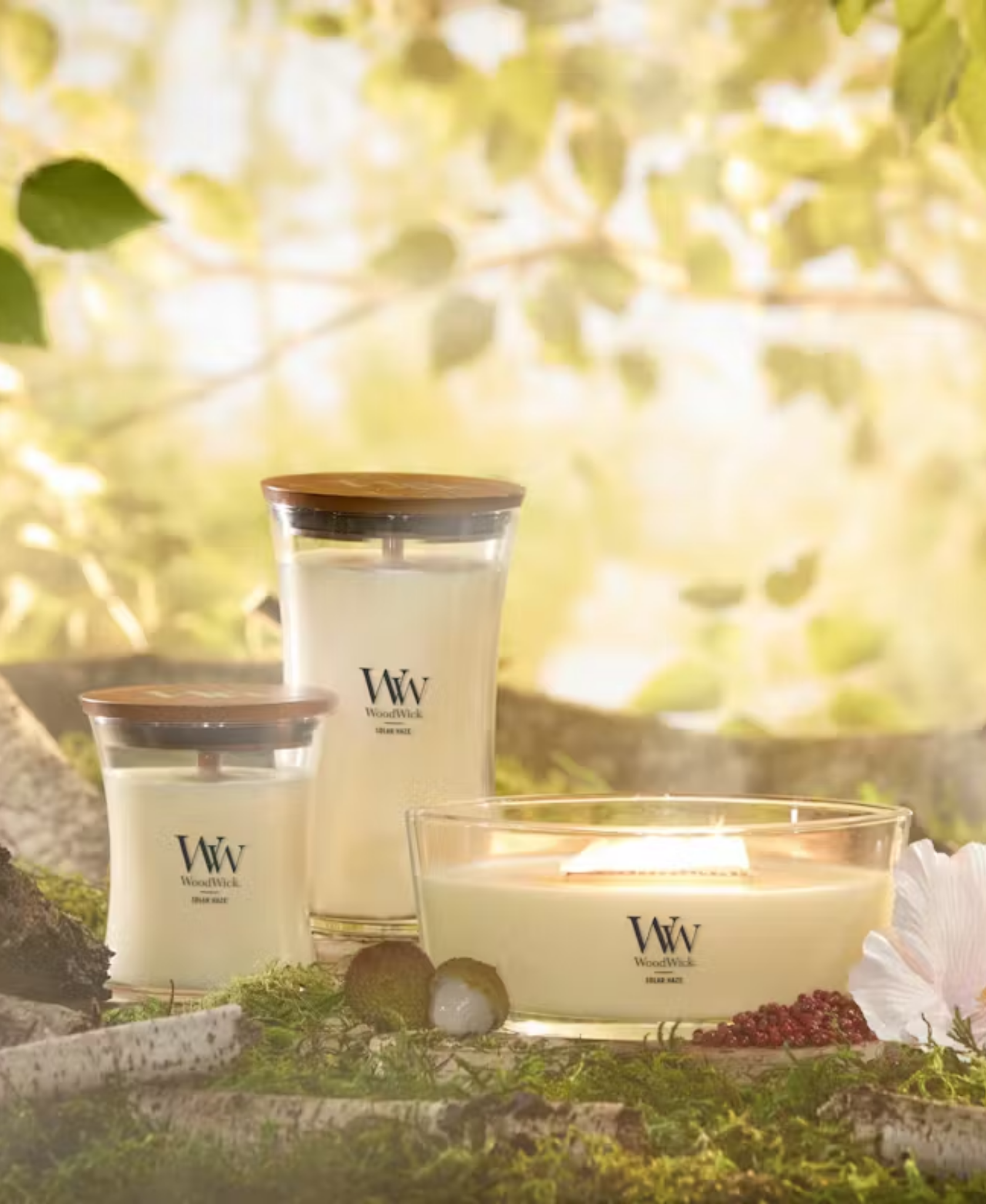 WoodWick Solar Haze Candle - Ellipse