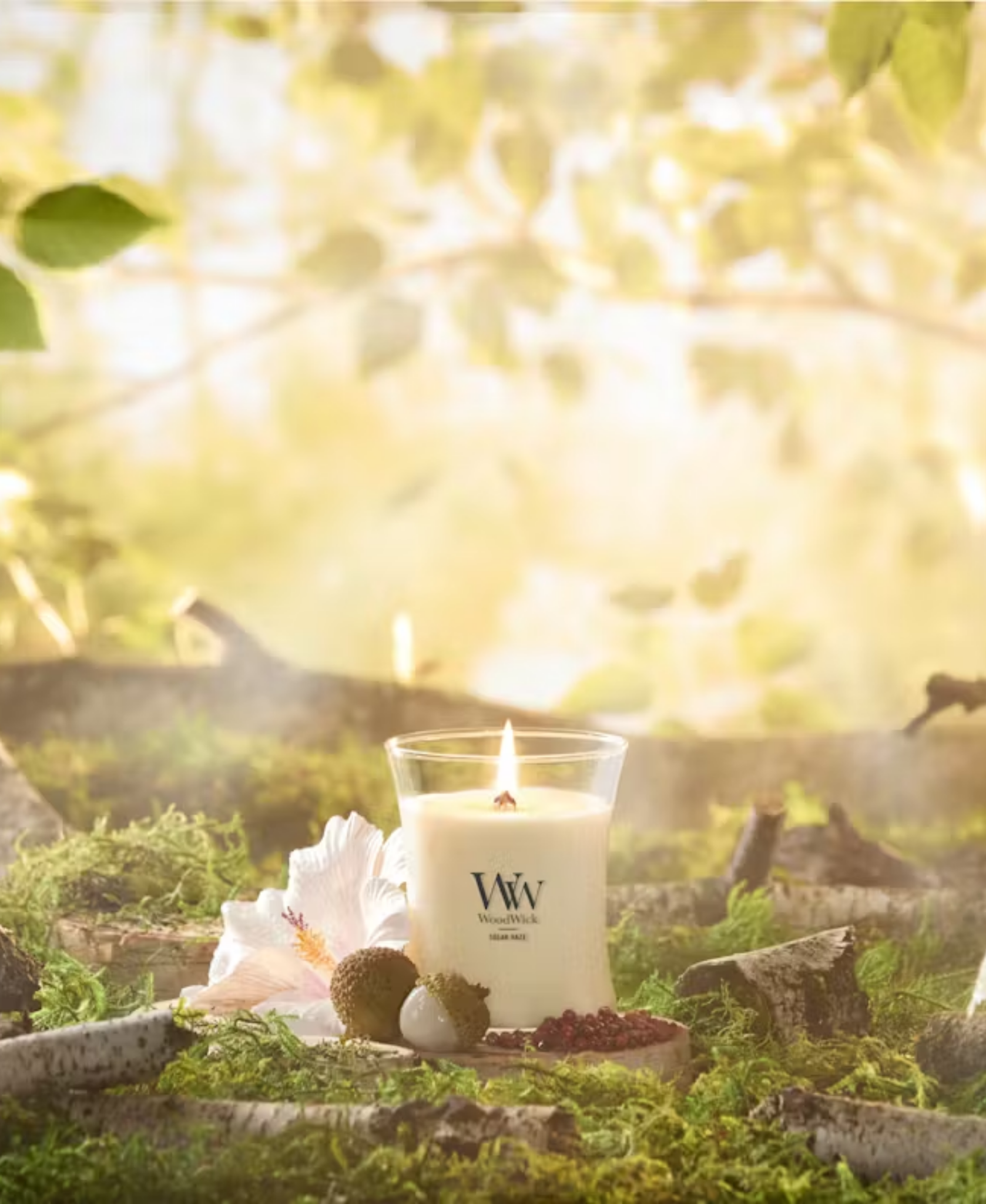 WoodWick Solar Haze Candle - Medium