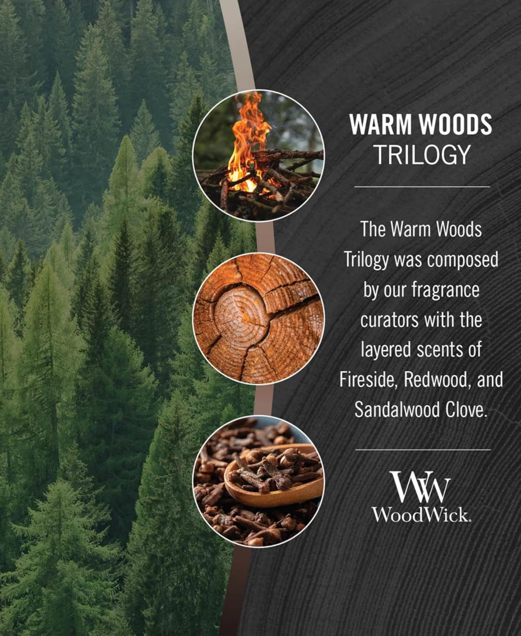 WoodWick Warm Woods Trilogy Candle - Medium (Fireside, Redwood & Sandalwood Clove)