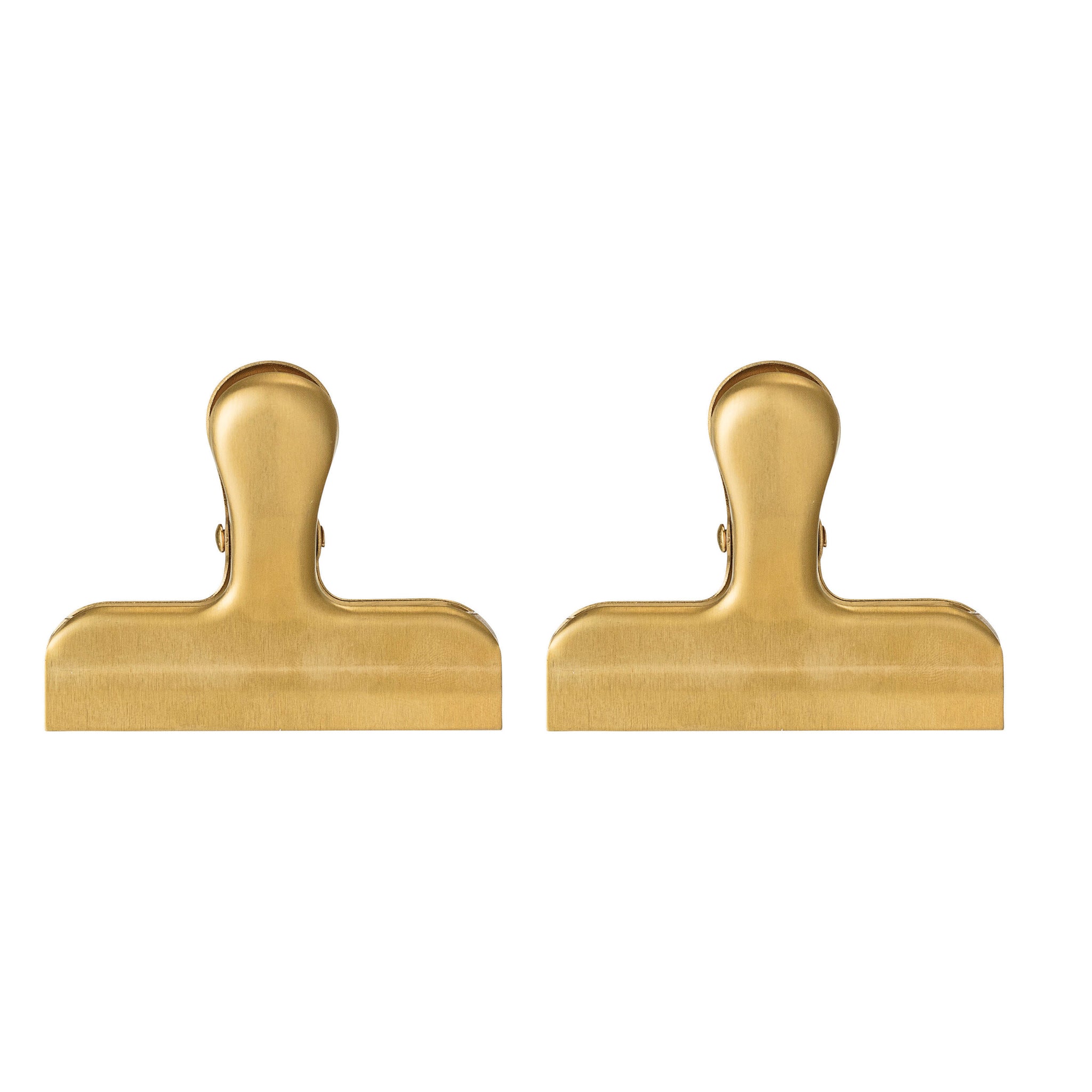 Stainless Steel Clip - Gold Finish
