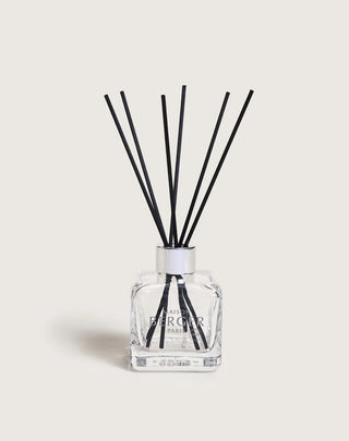 Maison Berger Pure White Tea Cube Reed Diffuser