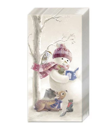 IHR Bedtime Stories Pocket Tissues