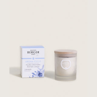 Maison Berger Aroma Focus Scented Candle with Aromatic Leaves
