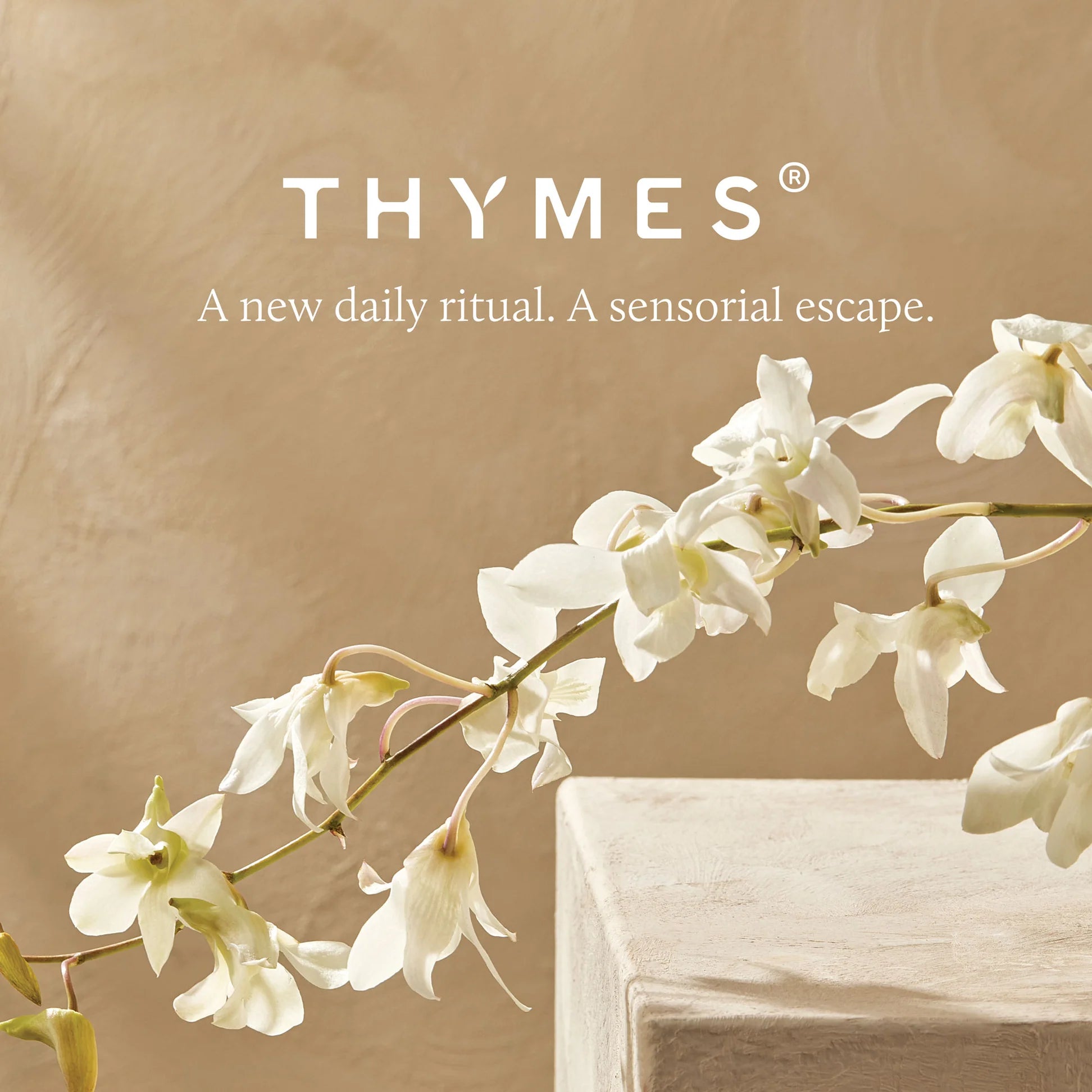 Thymes Eucalyptus Replenishing Hand Lotion