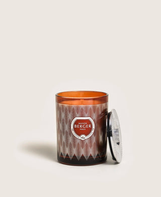 Evanescence Fawn Mystic Leather Candle - Maison Berger