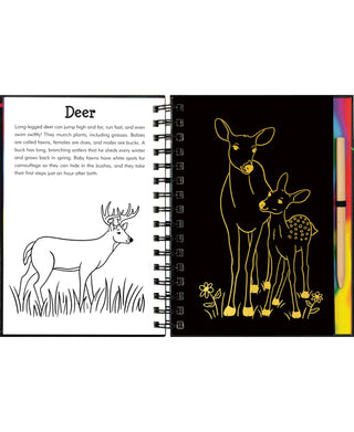 Peter Pauper Press Forest Friends Sketch and Scratch Art Book